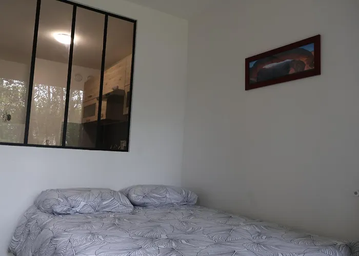 Splendide Appartement - Chevilly-Larue Paris Orly